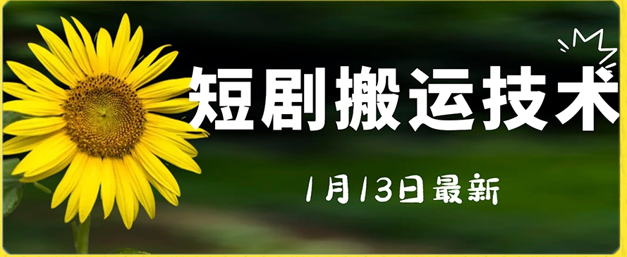 最新短剧搬运技术，电脑手机都可以操作，不限制机型-蓝悦项目网