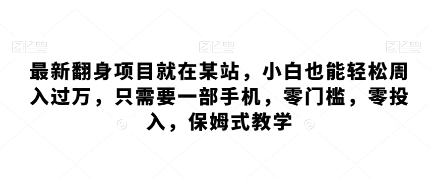 最新翻身项目就在某站，小白也能轻松周入过万，只需要一部手机，零门槛，零投入，保姆式教学-蓝悦项目网