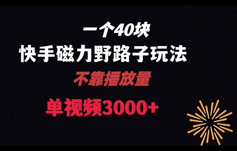 一个40块，快手联合美团磁力新玩法，无视机制野路子玩法，单视频收益4位数【揭秘】-蓝悦项目网