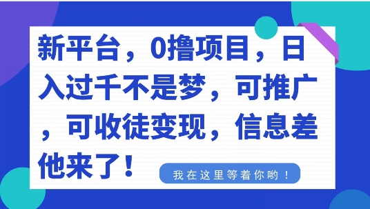 不要再花冤枉钱了，0撸项目，每天坚持，稳定1000+-蓝悦项目网