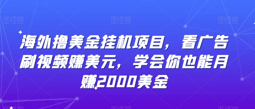 海外撸美金挂机项目，看广告刷视频赚美元，学会你也能月赚2000美金-蓝悦项目网