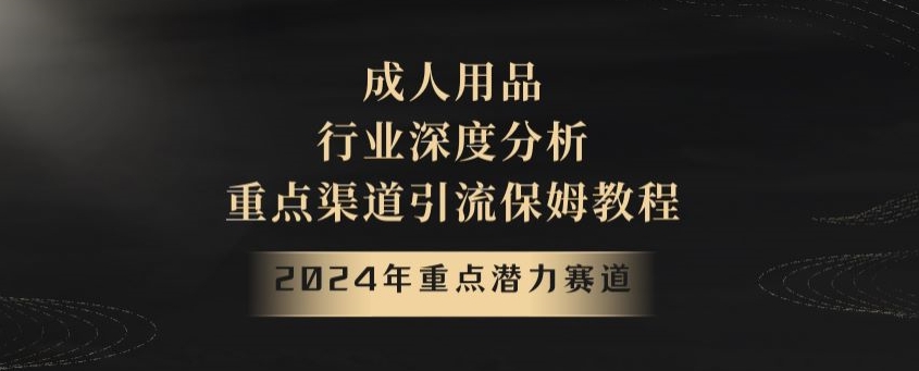 2024年重点潜力赛道，成人用品行业深度分析，重点渠道引流保姆教程【揭秘】-蓝悦项目网