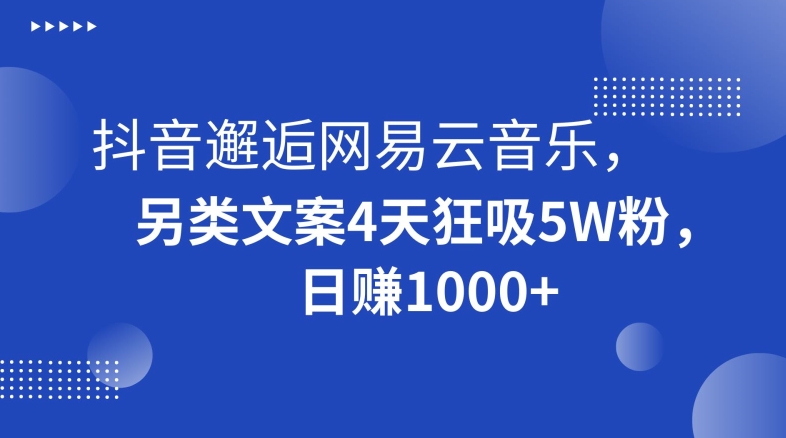 抖音邂逅网易云音乐，另类文案4天狂吸5W粉，日赚1000+【揭秘】-蓝悦项目网