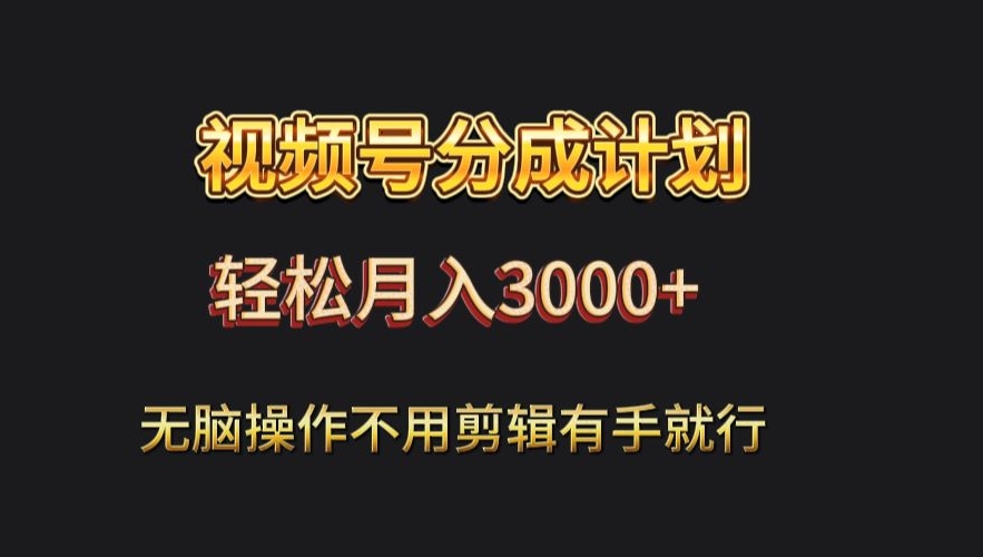 视频号流量分成，不用剪辑，有手就行，轻松月入2000+-蓝悦项目网