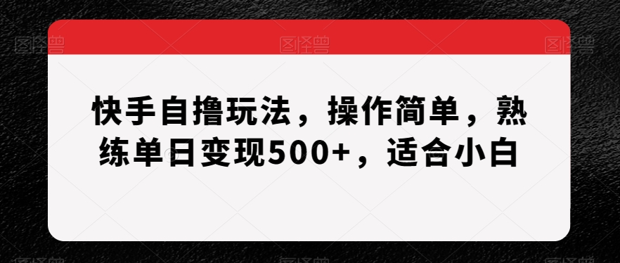 快手自撸玩法，操作简单，熟练单日变现500+，适合小白【揭秘】-蓝悦项目网