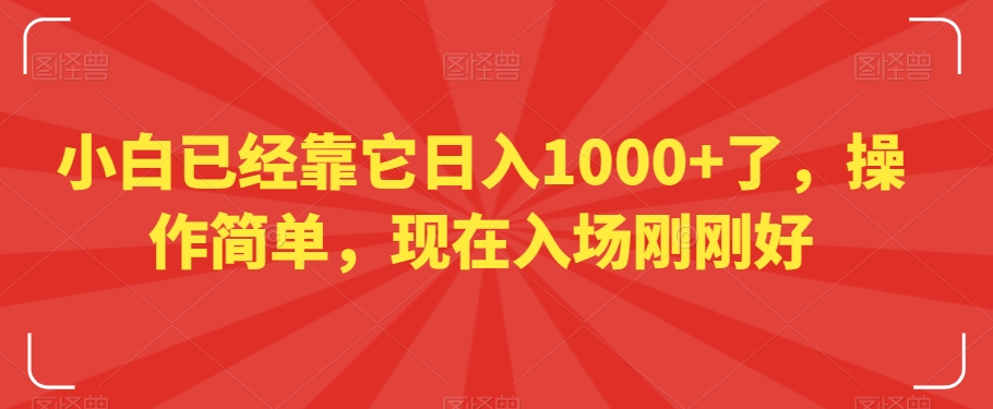 小白已经靠它日入1000+了，操作简单，现在入场刚刚好【揭秘】-蓝悦项目网