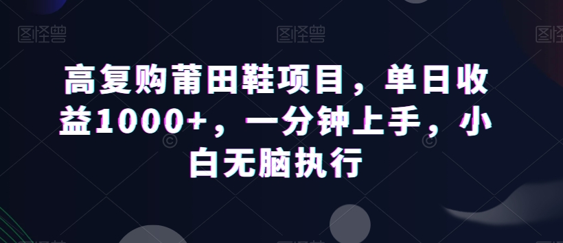 高复购莆田鞋项目，单日收益1000+，一分钟上手，小白无脑执行-蓝悦项目网