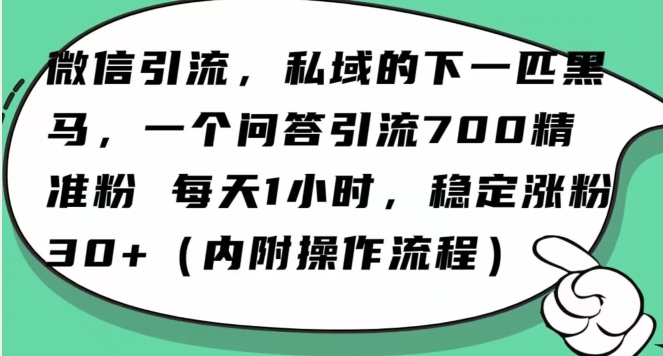 怎么搞精准创业粉？微信新赛道，每天一小时，利用Ai一个问答日引100精准粉-蓝悦项目网