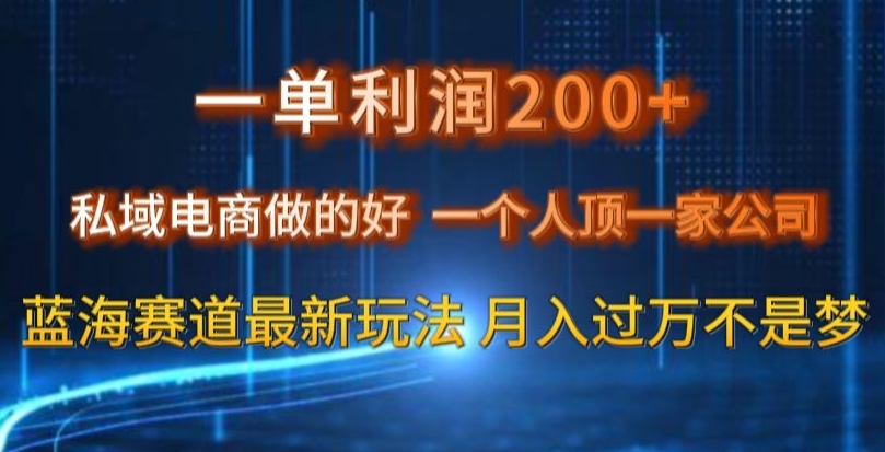 一单利润200私域电商做的好，一个人顶一家公司蓝海赛道最新玩法【揭秘】-蓝悦项目网