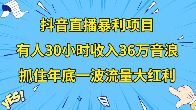 抖音直播暴利项目，有人30小时收入36万音浪，公司宣传片年会视频制作，抓住年底一波流量大红利【揭秘】-蓝悦项目网