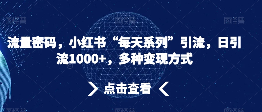 流量密码，小红书“每天系列”引流，日引流1000+，多种变现方式【揭秘】-蓝悦项目网