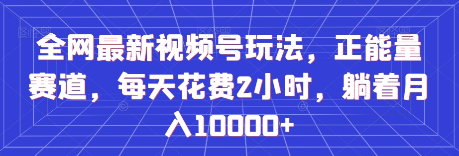 全网最新视频号玩法，正能量赛道，每天花费2小时，躺着月入10000+【揭秘】-蓝悦项目网