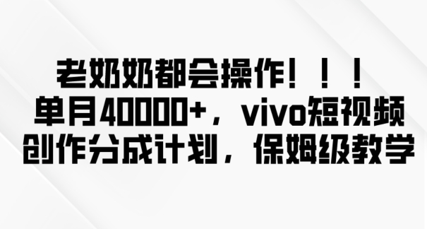 老奶奶都会操作，新平台无脑操作，单月40000+，vivo短视频创作分成计划【揭秘】-蓝悦项目网