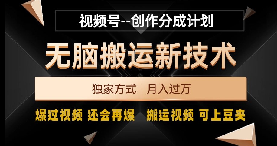 视频号无脑搬运新技术，破原创壕流量，独家方式，爆过视频，还会再爆【揭秘】-蓝悦项目网