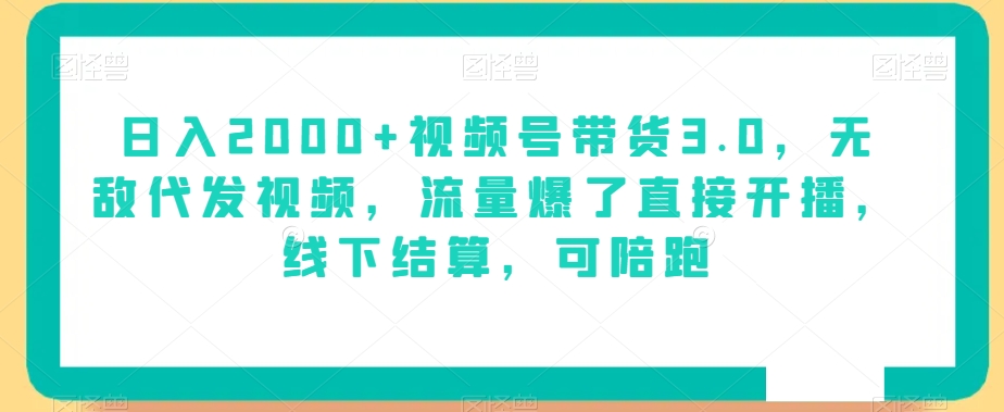 日入2000+视频号带货3.0，无敌代发视频，流量爆了直接开播，线下结算，可陪跑-蓝悦项目网