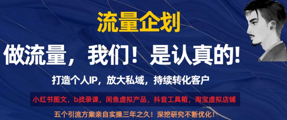 流量企划，打造个人IP，放大私域，持续转化客户【揭秘】-蓝悦项目网