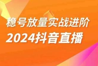 稳号放量上涨实战演练升阶—2024抖音直播间，直播房间精细化营销的几个流程-蓝悦项目网