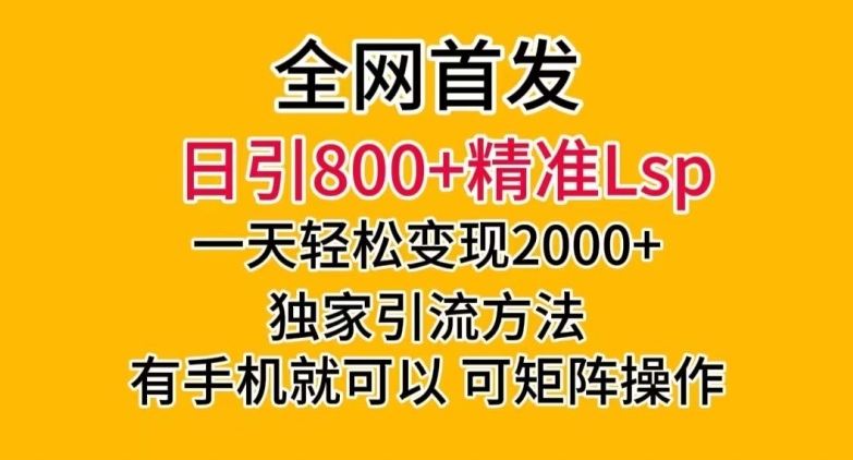 独家首发！日引800 精确老色批，一天转现2000 ，独家代理推广方法，可引流矩阵实际操作【揭密】-蓝悦项目网