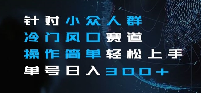 针对小众人群冷门风口赛道，操作简单轻松上手单号日入300+-蓝悦项目网