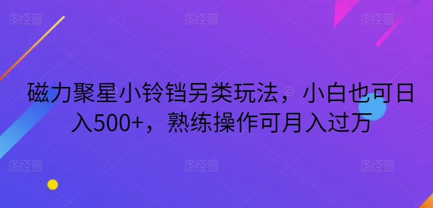 磁力聚星小铃铛另类玩法，小白也可日入500+，熟练操作可月入过万-暖阳网-优质付费教程和创业项目大全-蓝悦项目网