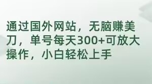 通过国外网站，无脑赚美刀，单号每天300+可放大操作，小白轻松上手【揭秘】-暖阳网-优质付费教程和创业项目大全-蓝悦项目网