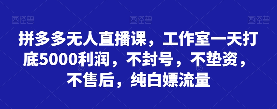 拼多多平台无人直播课，个人工作室一天内搭5000盈利，防封号，不垫付资金，不售后服务，纯白色嫖总流量-暖阳网-优质付费教程和创业项目大全-蓝悦项目网