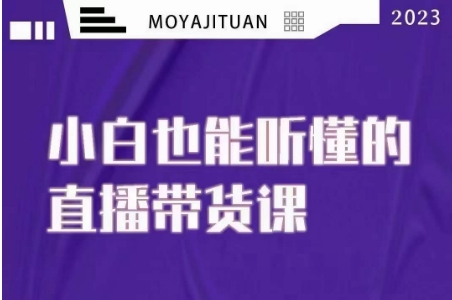 小威本威·听得懂的直播卖货课，新手也听得懂，20节详细-暖阳网-优质付费教程和创业项目大全-蓝悦项目网