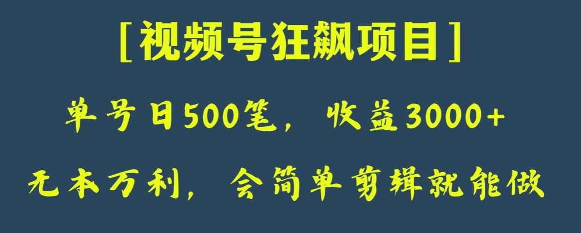 日收款500笔，纯利润3000+，视频号狂飙项目，会简单剪辑就能做【揭秘】-蓝悦项目网