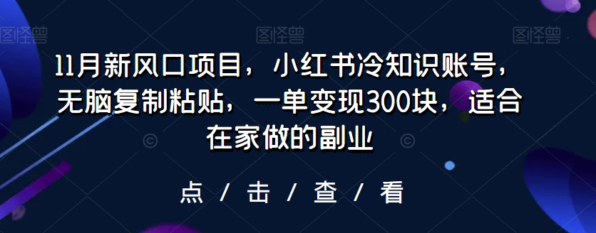 11月新风口项目，小红书冷知识账号，无脑复制粘贴，一单变现300块，适合在家做的副业-蓝悦项目网