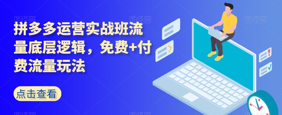 拼多多运营实战演练班总流量底层思维，完全免费 付费推广游戏玩法-蓝悦项目网