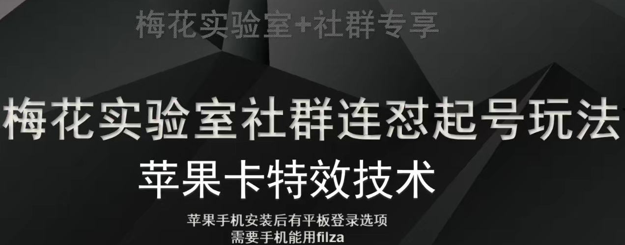 梅花实验室社群视频号连怼起号玩法，最新苹果卡特效技术-蓝悦项目网