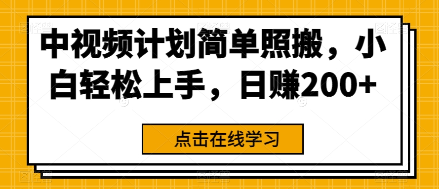 中视频伙伴简易生搬硬套，新手快速上手，日赚200-蓝悦项目网