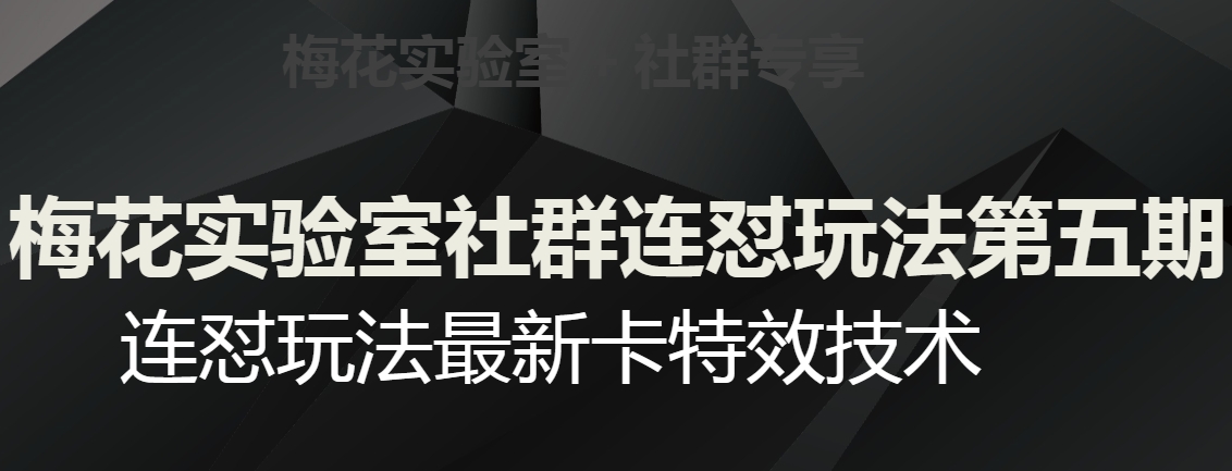 红梅花试验室社群营销连怼游戏玩法第五期，微信视频号连怼游戏玩法全新卡特效技术-蓝悦项目网