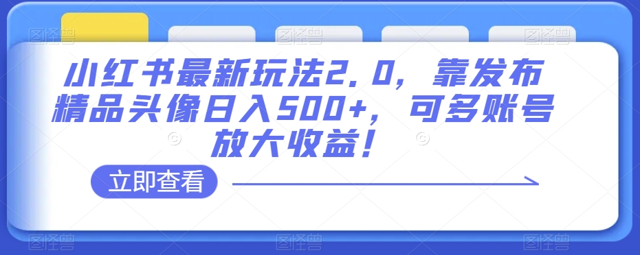 小红书的全新游戏玩法2.0，靠公布精典头像图片日赚500 ，可多账号变大盈利！【揭密】-蓝悦项目网