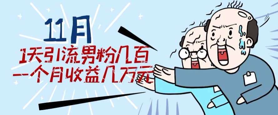 11月全新每日引流方法粉丝300 一个月盈利几万块-蓝悦项目网