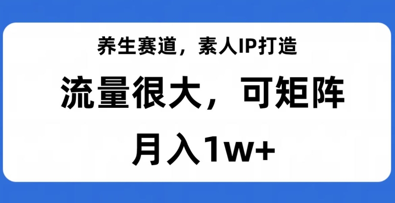 健康养生跑道，普通IP打造出，总流量非常大，可引流矩阵，月入1w 【揭密】-蓝悦项目网