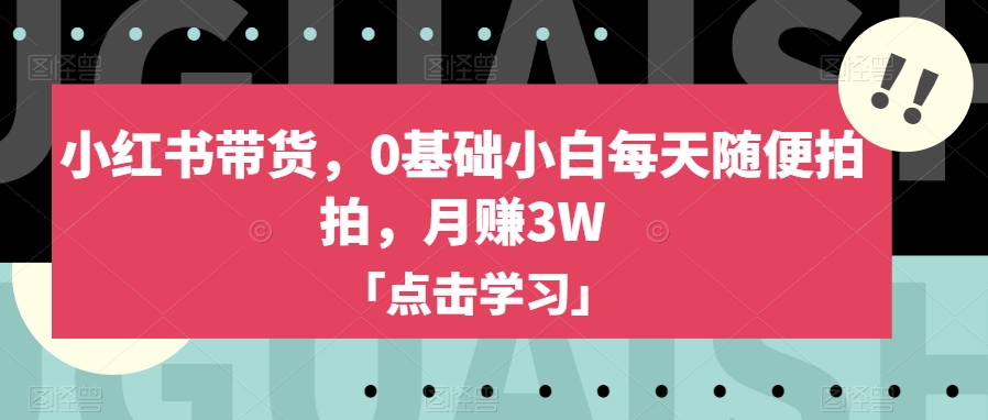 小红书的卖货，0基本新手每日随便拍拍，月赚3W【揭密】-蓝悦项目网