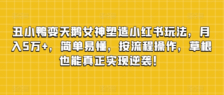 丑小鸭变天鹅极品女神营造小红书的游戏玩法，月入5万 ，通俗易懂，按流程操作，草根创业也可以从而实现逆转！-蓝悦项目网