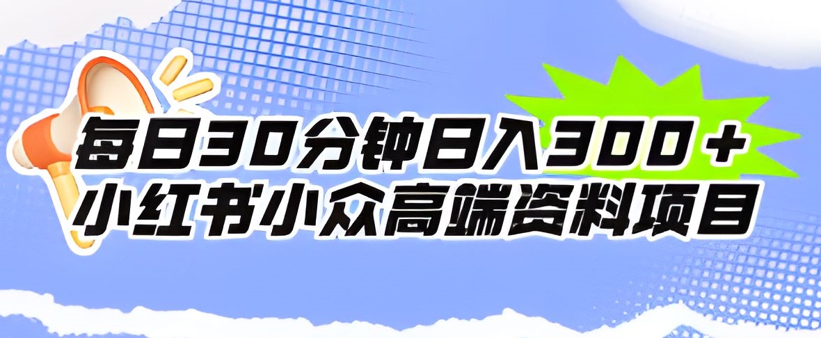 每日30min日入300＋小红书的冷门高档材料新项目-蓝悦项目网