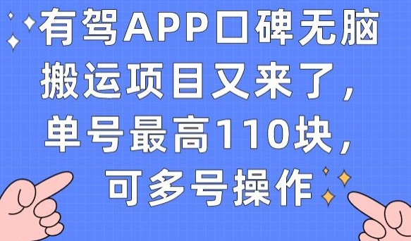 有驾APP用户评价没脑子运送新项目再次来了，运单号最大110块，可以多号实际操作-蓝悦项目网