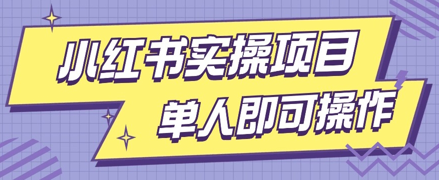 小红书的实际操作新项目，使用方便单人单天200-蓝悦项目网