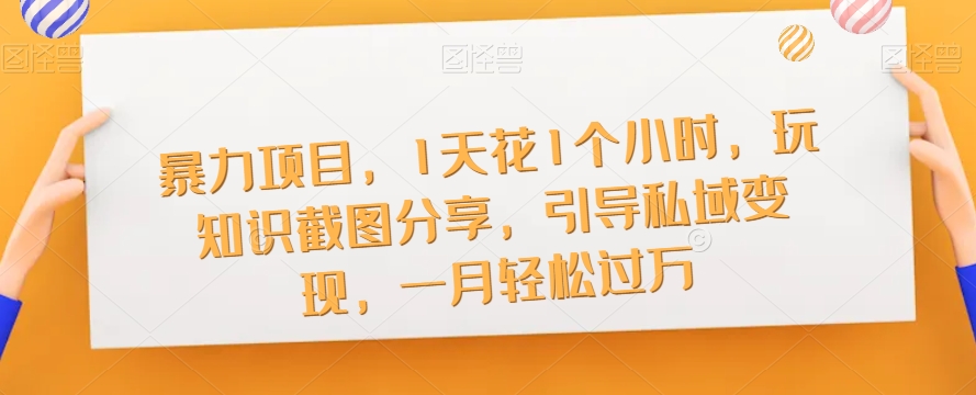 暴力行为新项目，1天花吊顶1小时，玩专业知识截屏共享，正确引导私域变现，一月轻松突破万【截屏】-蓝悦项目网