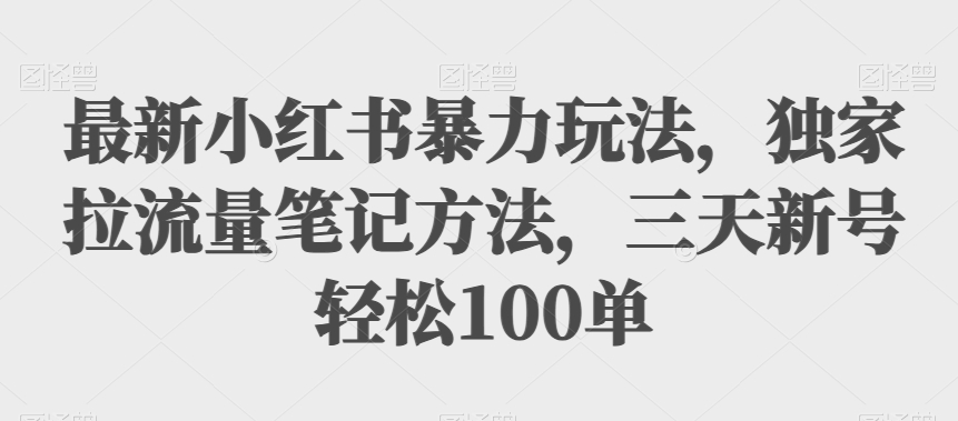 全新小红书的暴力行为游戏玩法，独家代理拉总流量笔记方法，三天小号轻轻松松100单【揭密】-蓝悦项目网