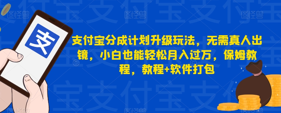 支付宝钱包分为方案升级玩法，不用真人出镜，新手都可以轻松月入破万，家庭保姆实例教程，实例教程 软件打包-蓝悦项目网