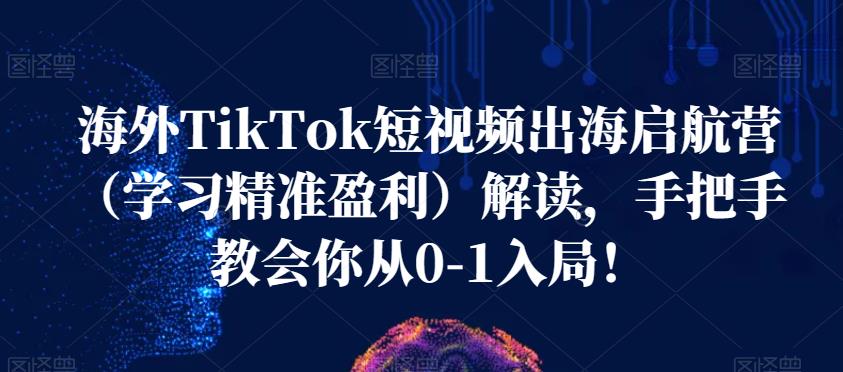 海外TikTok短视频出海启航营（学习精准盈利）解读，手把手教会你从0-1入局！-蓝悦项目网