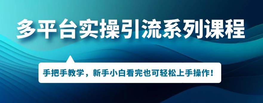 多平台推广实际操作主题课程，新手入门看了也可以快速上手开展引流方法实际操作-蓝悦项目网