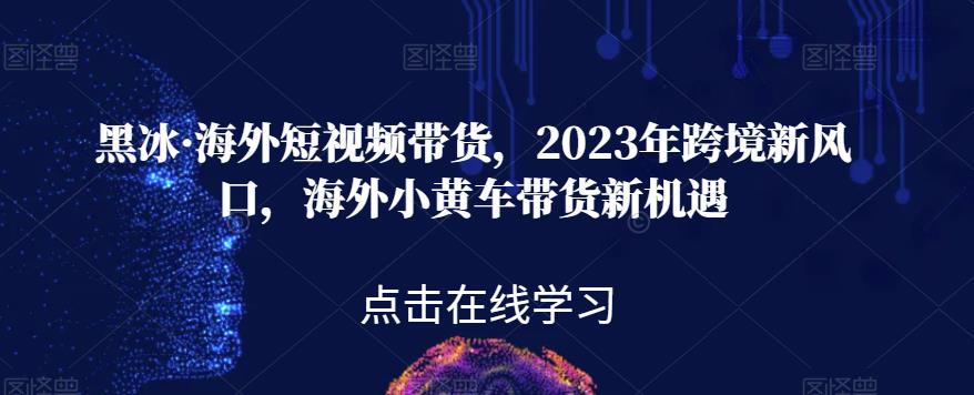 黑冰·国外短视频卖货，2023年跨境电商新蓝海，国外ofo单车卖货机遇与挑战-蓝悦项目网