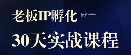 诸葛亮·2023老总IP实战演练课，实体线同城引流拓客，IP卵化必听-蓝悦项目网