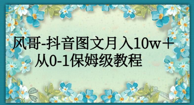 风哥-抖音图文月入10w＋，从0-1保姆级教程-蓝悦项目网