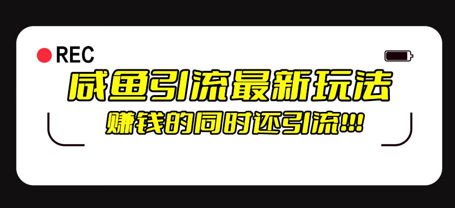 闲鱼引流方式全新升级游戏的玩法，赚钱的此外，日推广方法100-蓝悦项目网